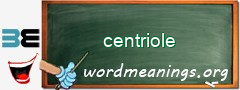 WordMeaning blackboard for centriole